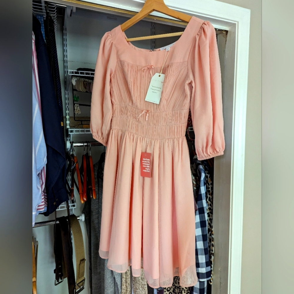 NWT Ivy City Co Do-Re-Mi Dress